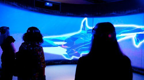 Mit Orkas schwimmen! Für Besucher*innen des Smithsonian Museum of Natural History in Washington DC braucht es dazu nur ein VR-Headset. Und ein Traum wird wahr