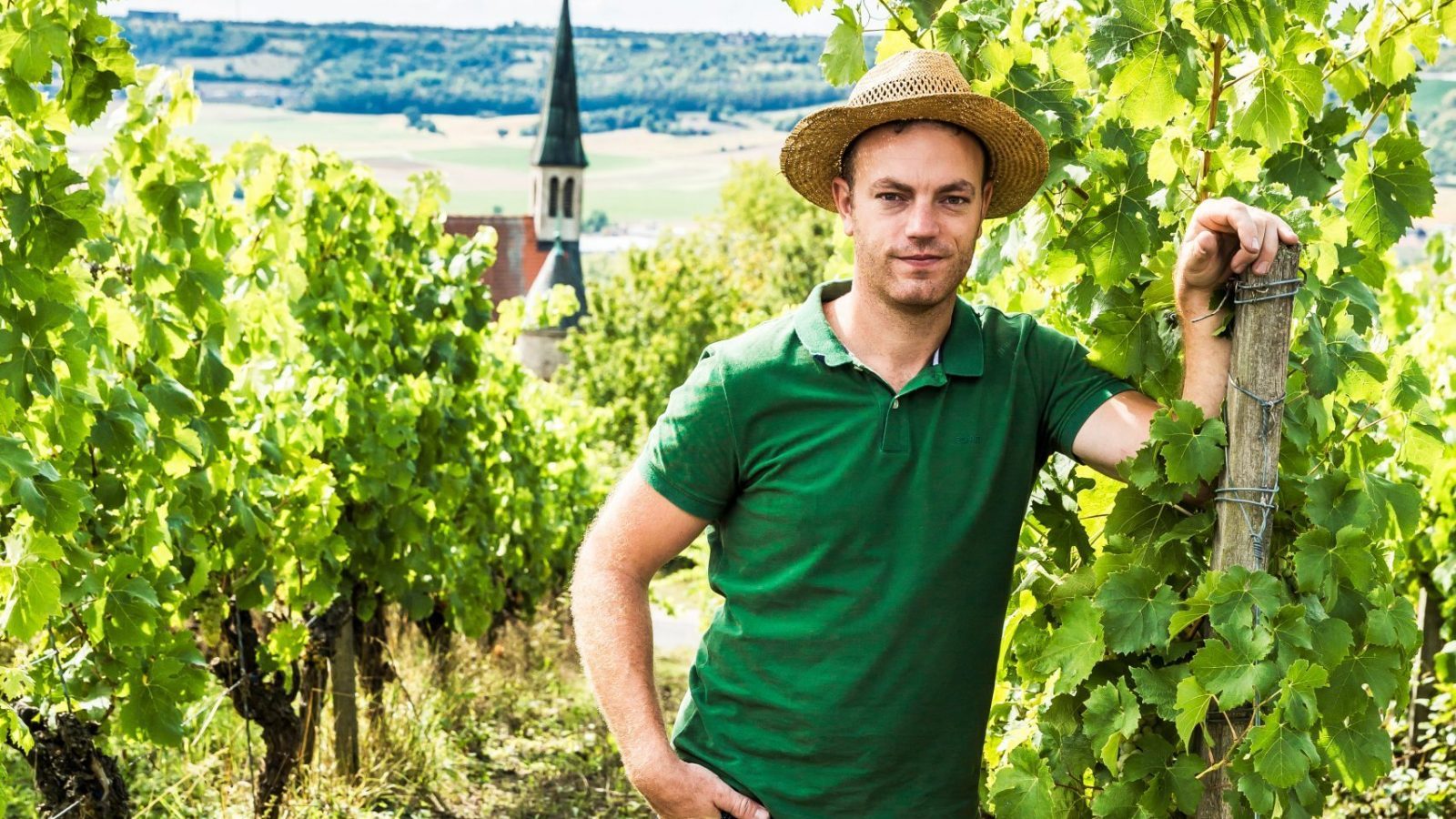 Thomas Schenk vom Weingut Schenk in Randersacker Thomas Schenk vom Weingut Schenk in Randersacker