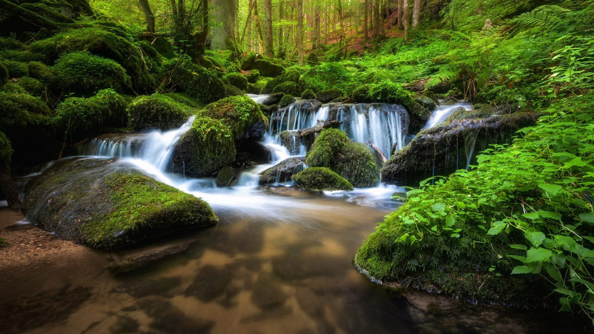Wasserfall Wasserfall