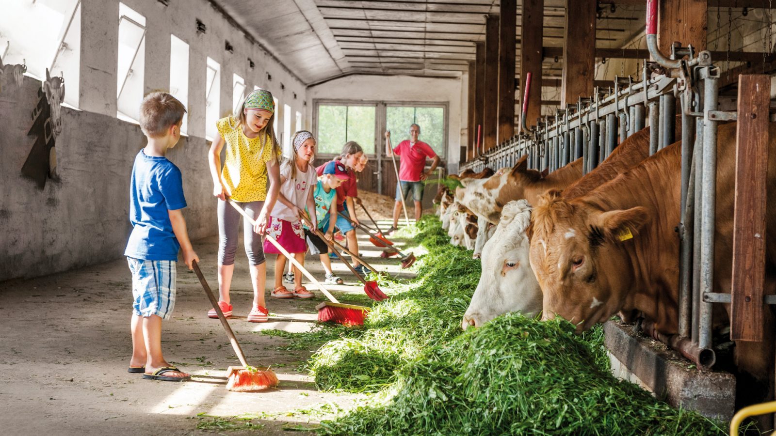 Kinder verschiedener Bauernhöfe füttern Kühe im Stall und helfen bei der Stallarbeit.
